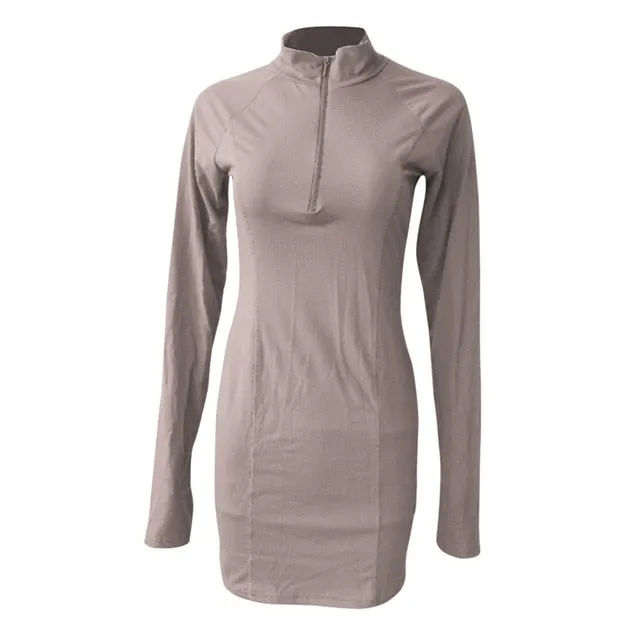 Plus Size Bodycon Mini Dress